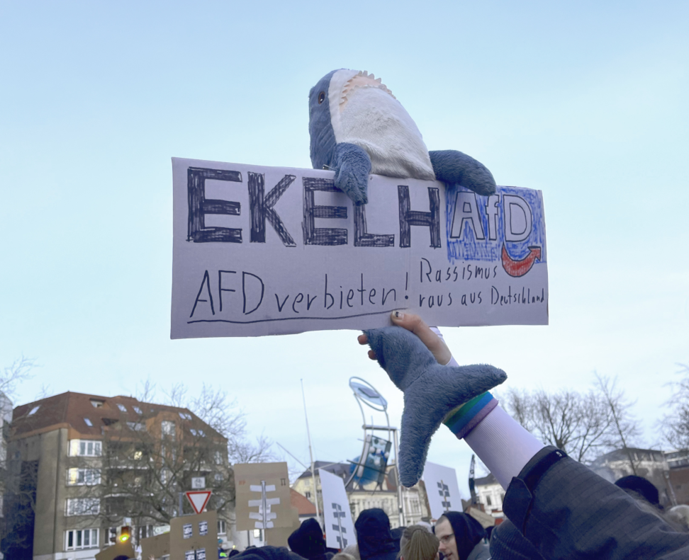 Germany hates the AfD