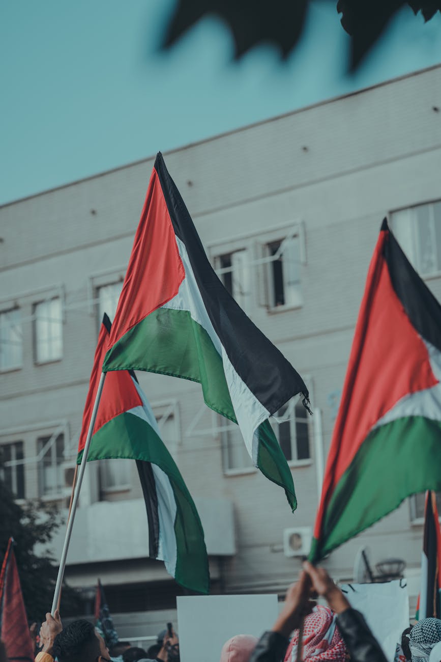 palestine flags held above the crowd